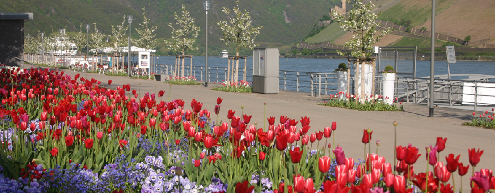 Landesgartenschau Bingen 2008