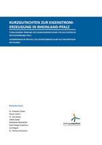 Titelseite Kurzgutachten Eigenstromerzeugung