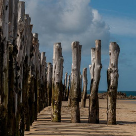Buhnenfeld am Strand Buhnenfeld am Strand