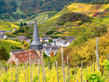 Gemeinde in Rheinland-Pfalz